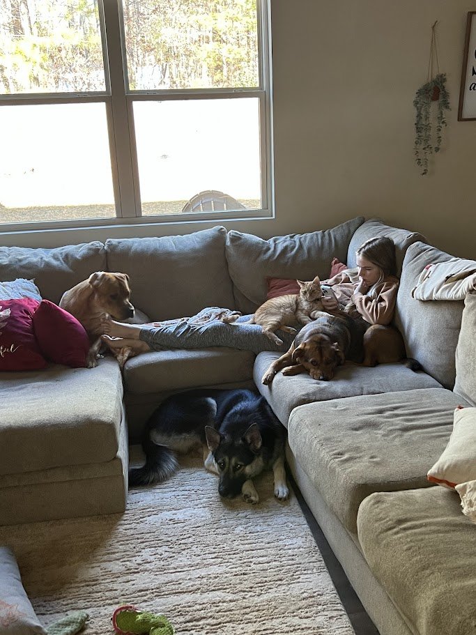 The whole crew spread out across the living room