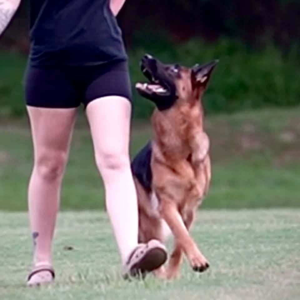 Lyric heeling during a training session